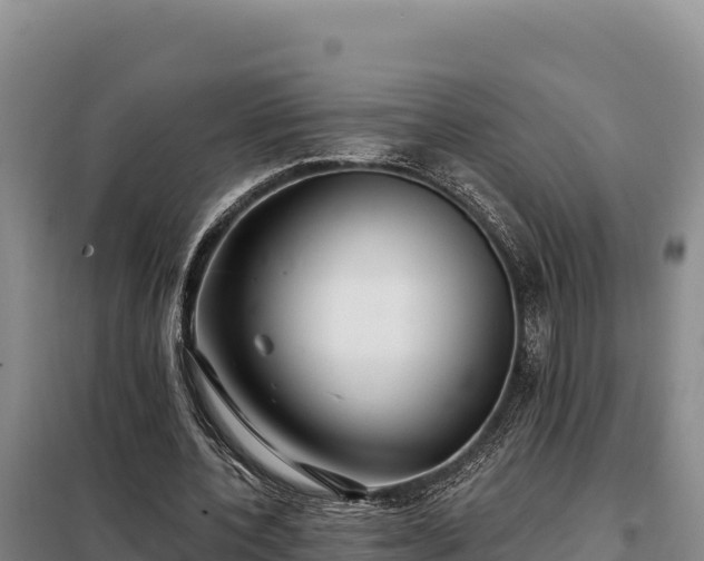 X0000099320532200805091044