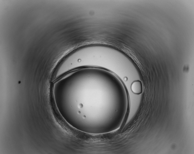 X0000099320534200805091044