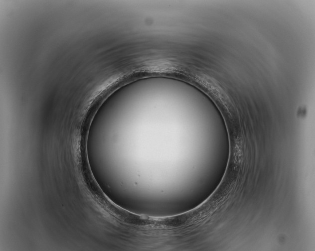 X0000099320535200805091044