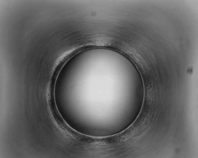 X0000099320536200805091044