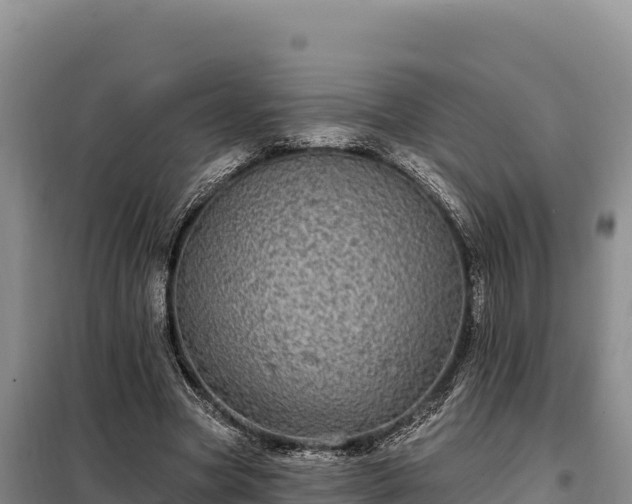 X0000099320537200805091044