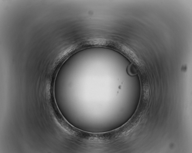 X0000099320538200805091044