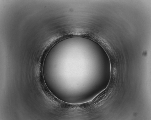 X0000099320540200805091044