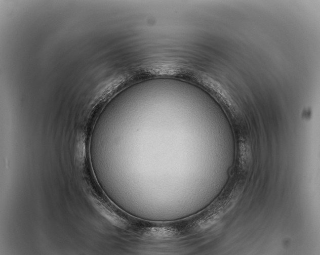 X0000099320541200805091044