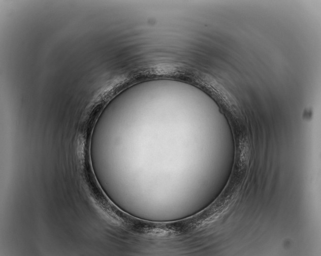 X0000099320542200805091044