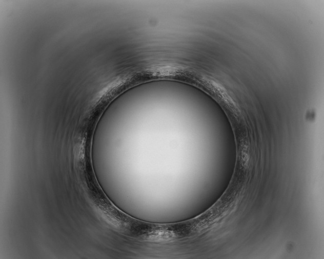 X0000099320543200805091044