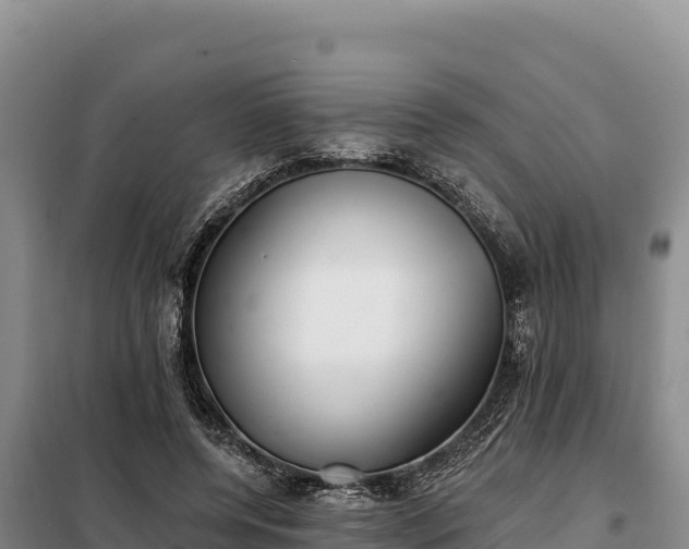 X0000099320544200805091044