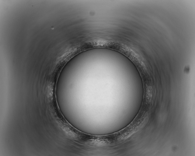 X0000099320545200805091044