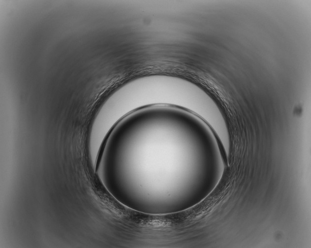 X0000099320546200805091044