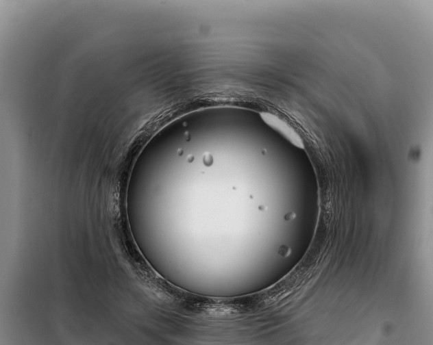 X0000099320547200805091044