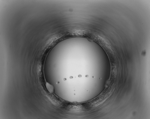 X0000099320548200805091044