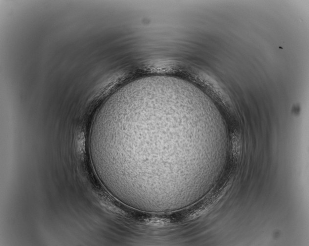 X0000099320549200805091044