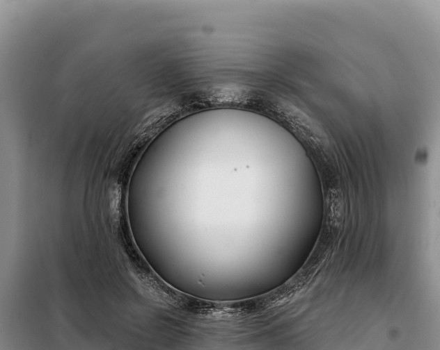 X0000099320550200805091044