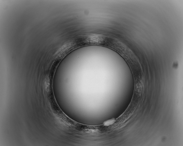 X0000099320552200805091044