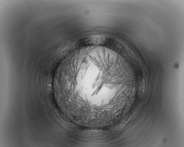 X0000099320553200805091044