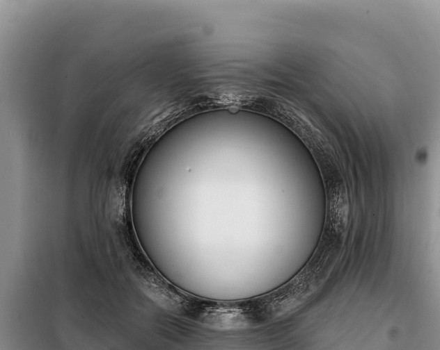 X0000099320554200805091044