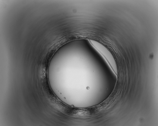 X0000099320555200805091044