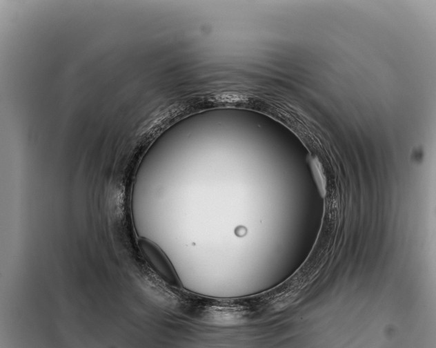 X0000099320556200805091044