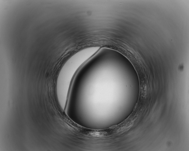 X0000099320558200805091044