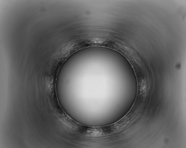 X0000099320559200805091044