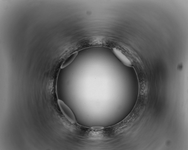 X0000099320560200805091044