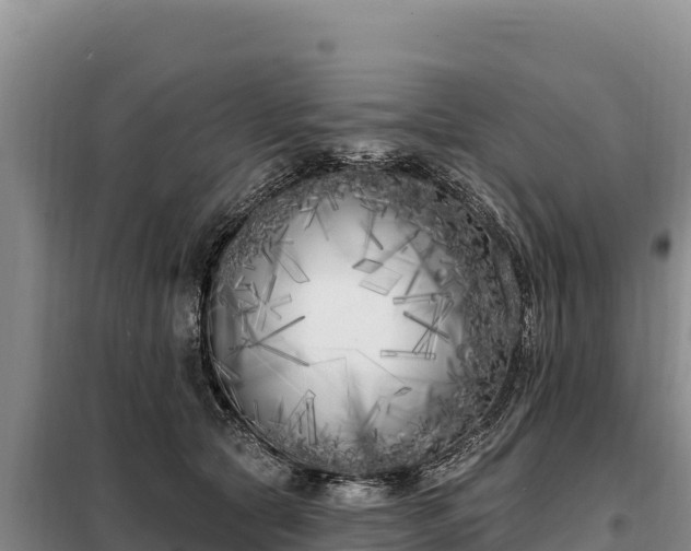X0000099320561200805091044