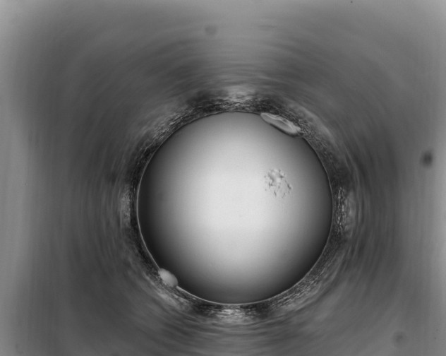 X0000099320562200805091044