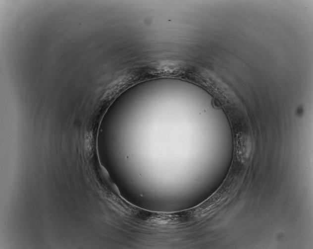 X0000099320563200805091044