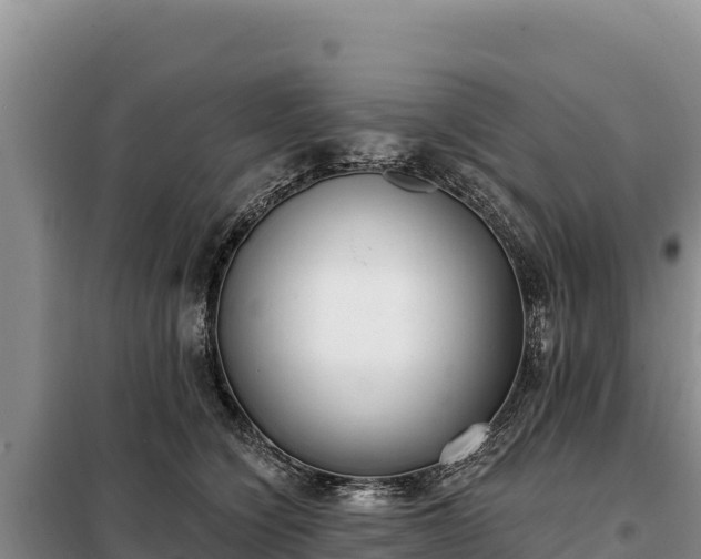 X0000099320564200805091044