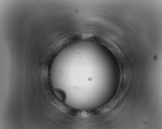 X0000099320565200805091044