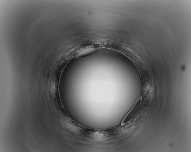 X0000099320566200805091044