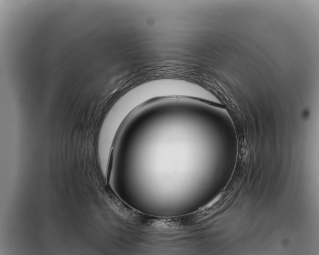 X0000099320568200805091044