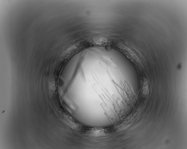 X0000099320569200805091044