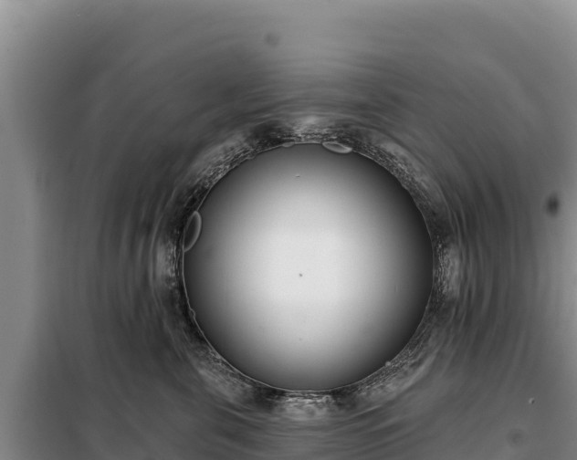 X0000099320571200805091044