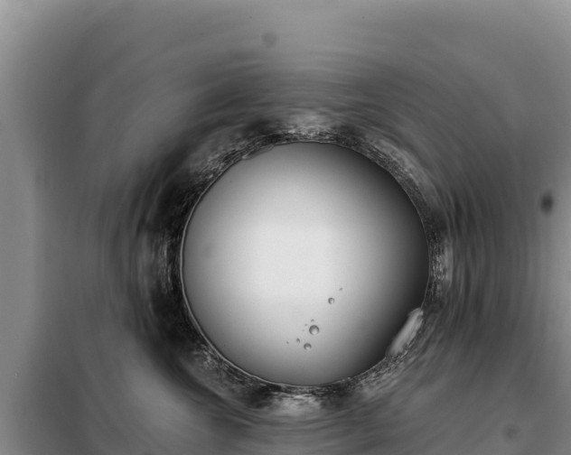 X0000099320572200805091044