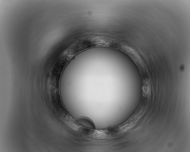 X0000099320573200805091044