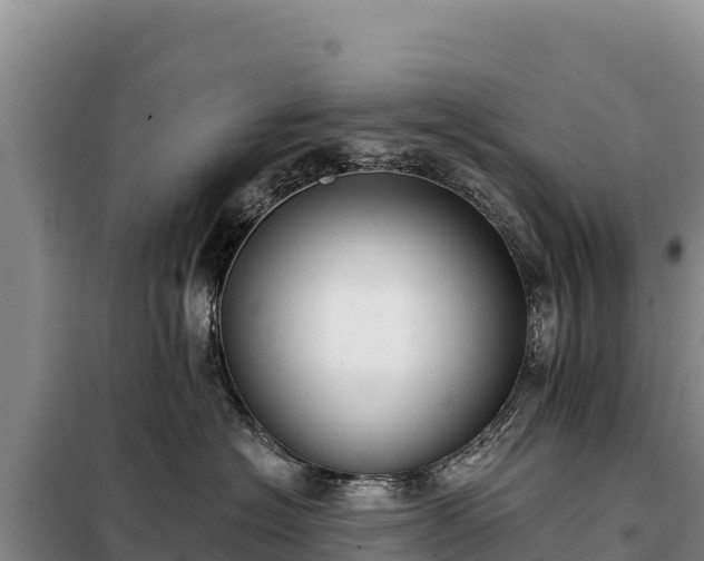 X0000099320574200805091044