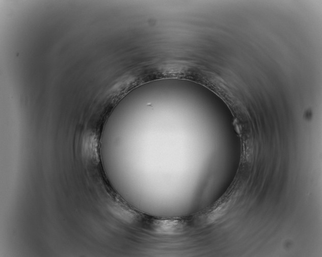 X0000099320575200805091044