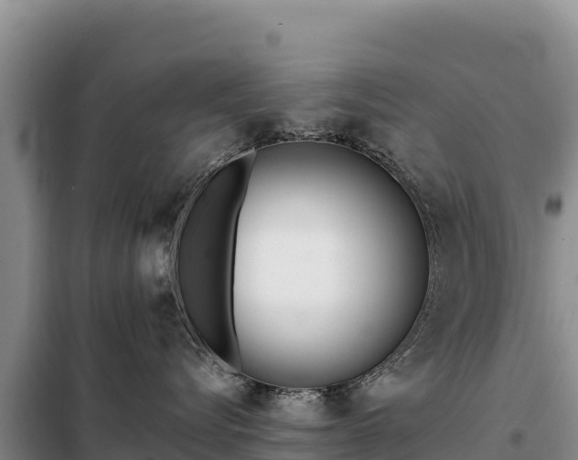 X0000099320576200805091044