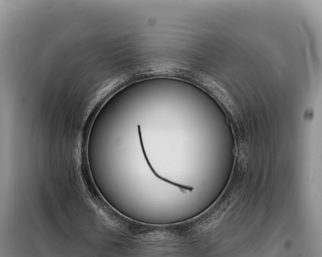 X0000099320578200805091044