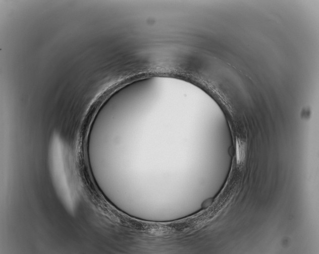 X0000099320579200805091044