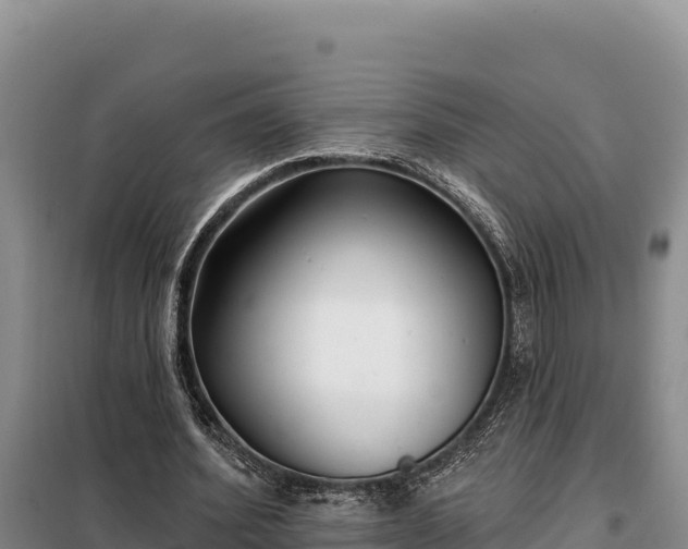 X0000099320580200805091044