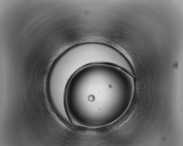 X0000099320581200805091044