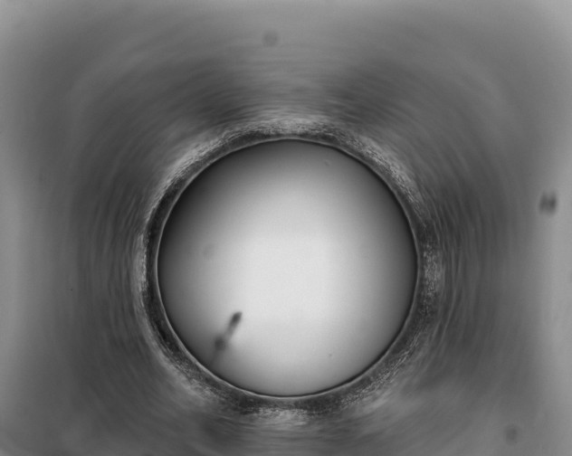 X0000099320582200805091044