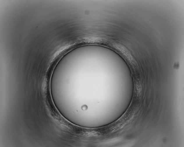 X0000099320583200805091044