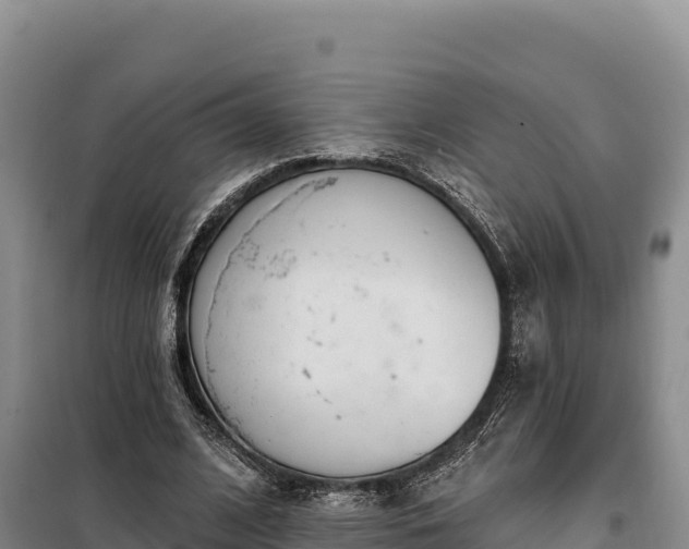 X0000099320584200805091044