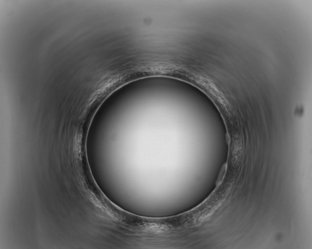 X0000099320585200805091044