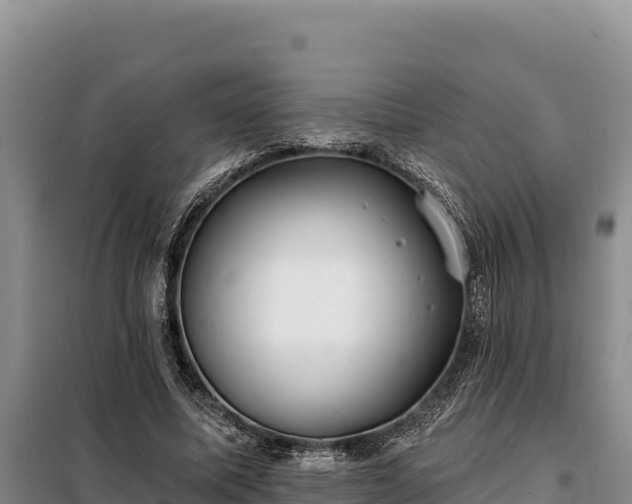 X0000099320587200805091043