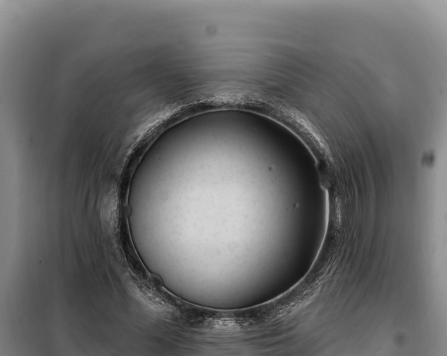 X0000099320588200805091043