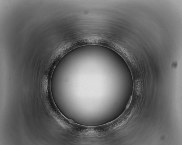 X0000099320589200805091043